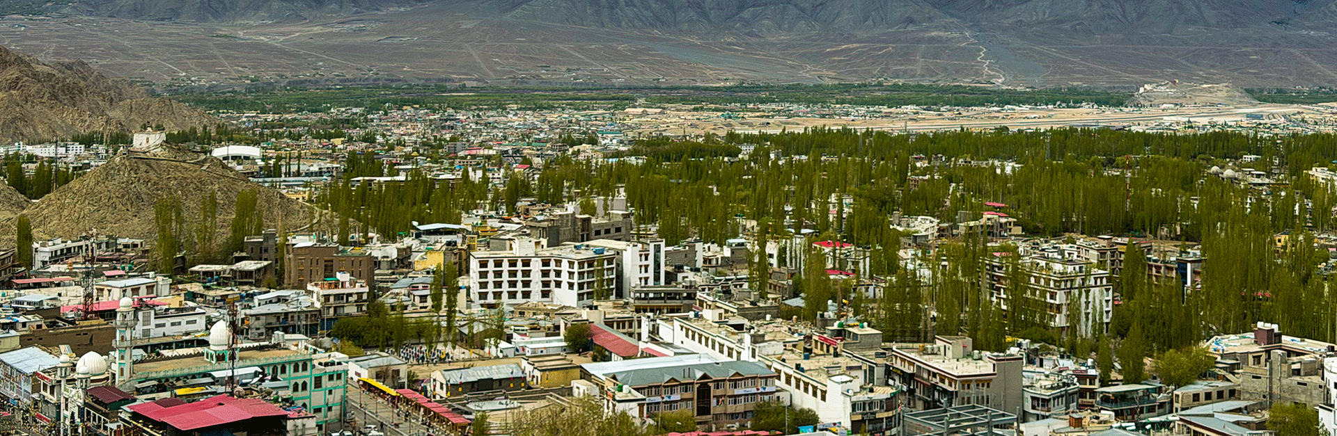 Ladakh monastery and landscape